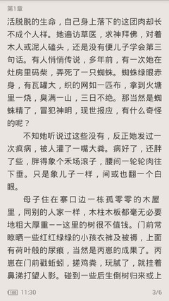 澳门维斯尼